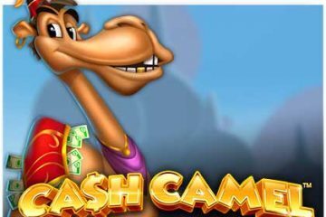 Cash Camel review isoftbet