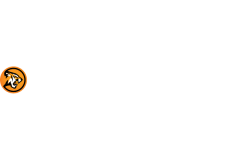 Goldrun Casino Online Casino Review