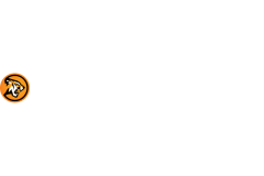 Goldrun Casino Online Casino Review