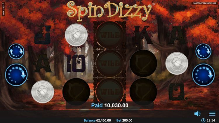 Spin Dizzy online gokkast bonus