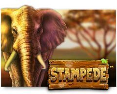 Slots - stampede-slot review betsoft