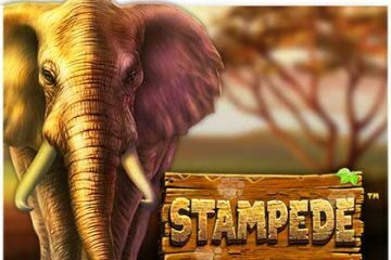 stampede-slot review betsoft
