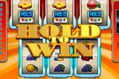 Slots - Hold to Win - Online Gokkast Review