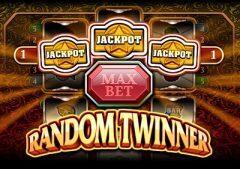 Slots