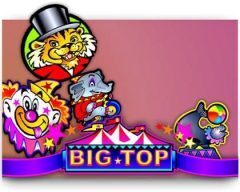 Slots - big-top slot review Microgaming