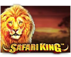 Slots - safari-king-slot review