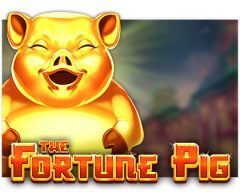 Slots - the-fortune-pig-slot review