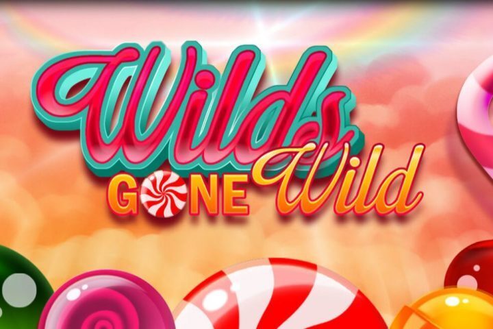Wilds gone wild gamomat review