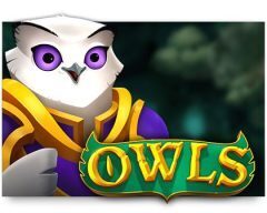 Slots - owls-slot review No Limit City