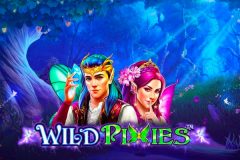Slots - Wild Pixies - Online Gokkast Review