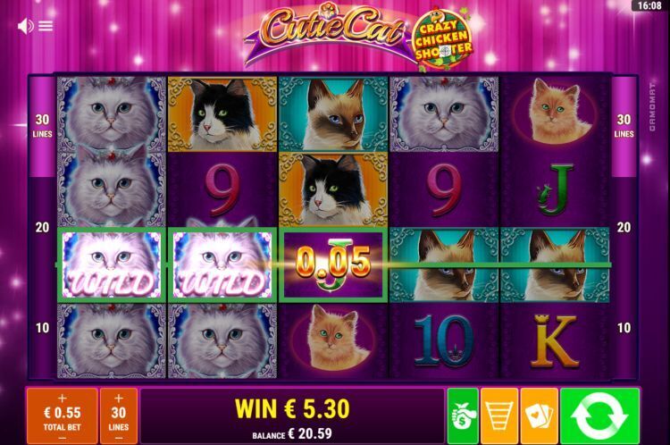 cutie-cat- gokkast review gamomat big win
