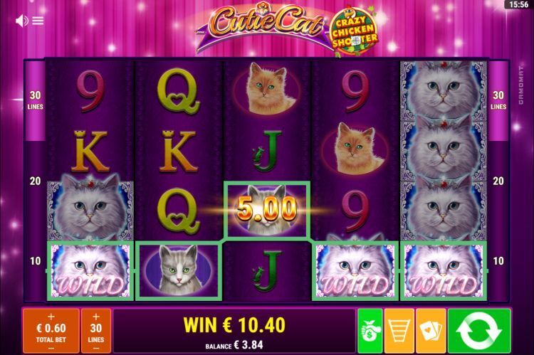 Cutie Cats online slot win
