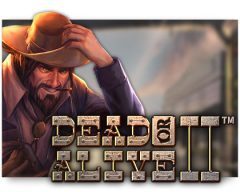 Slots - dead-or-alive-2-gokkast review