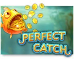 perfect-catch-gokkast