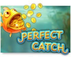 Slots - perfect-catch-gokkast
