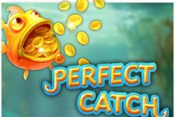 perfect-catch-gokkast