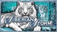 Slots - siberian storm