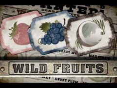 Slots - Endorphina - Wild Fruits gokkast