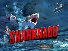 Slots - Pariplay - Sharknado