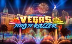 Slots - Vegas High Roller gokkast