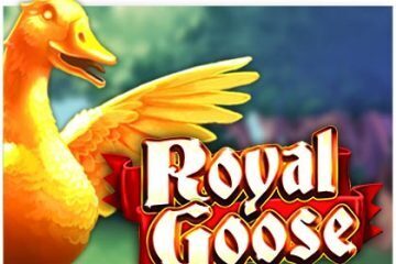 royal-goose-gokkast review