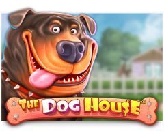 Slots - the-dog-house-slot review