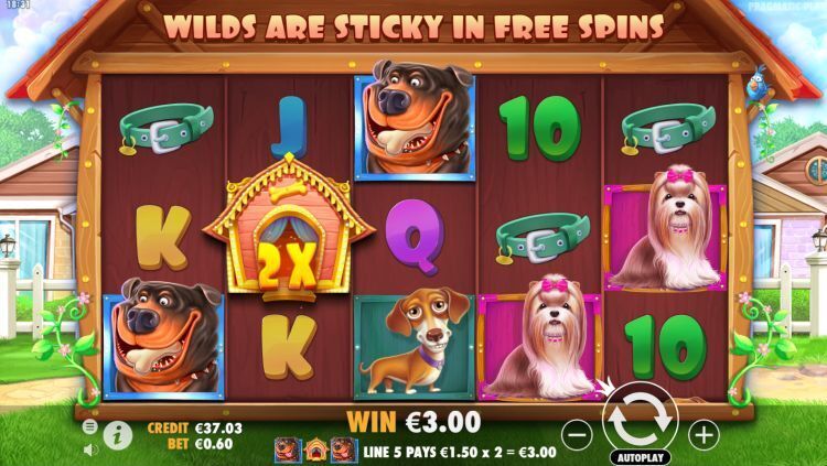 The Dog House slot review Pragmatic Play
