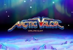 Slots - arctic valor logo
