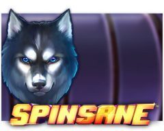 Slots - spinsane-slot review