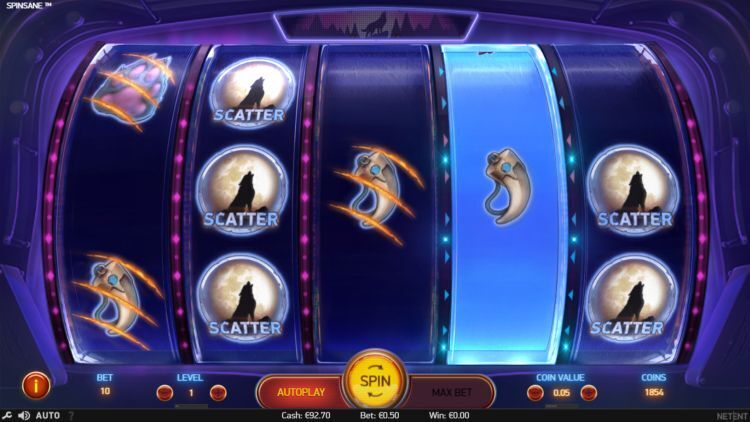 Spinsane slot bonus win