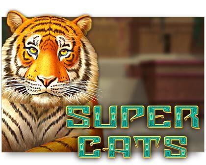 super-cats-amatic gokkast