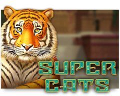 Slots - super-cats-amatic gokkast