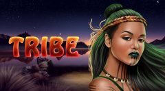 Slots - Tribe online gokkast