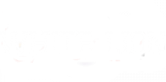 White Lion Bets Casino logo