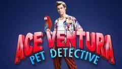 Slots - ace-ventura-slot-playtech