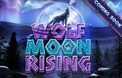 Slots - wolf moon rising online slot
