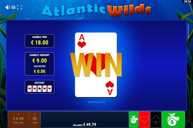 Atlantic Wilds slot gamble feature
