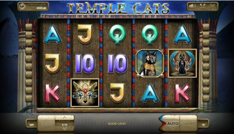 Temple Cats Endorphina slot
