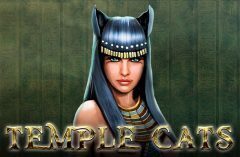 Slots - Temple Cats Endorphina
