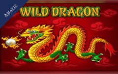 Slots - Amatic - Wild Dragon