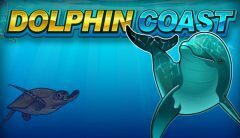 Slots - Dolphin Coast slot microgaming review