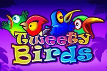 amatic - tweety birds slot