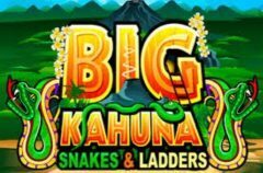 Slots - Big Kahuna snakes and ladders online slot