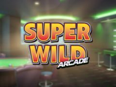 Slots - Super Wild Arcade fruitautomaat