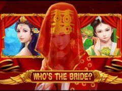 Slots - Who's the bride slot review logo netent