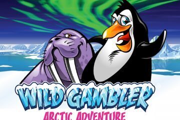 Wild Gambler Arctic Adventure Playtech