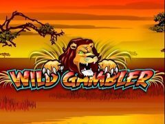 Slots - playtech - wild gambler slot