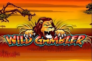 playtech - wild gambler slot