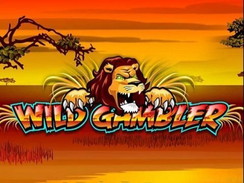 playtech - wild gambler slot