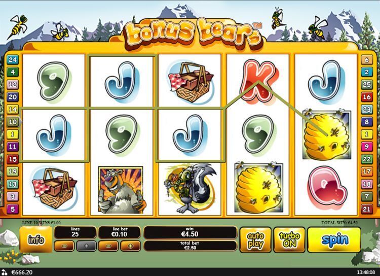 Bonus bears slot playtech